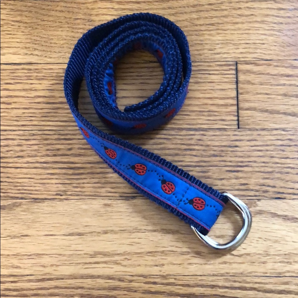 🆕 Ladybug belt